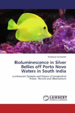 Bioluminescence in Silver Bellies off Porto Novo Waters in South India