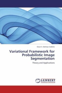 Variational Framework for Probabilistic Image Segmentation