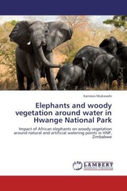 Elephants and woody vegetation around water in Hwange National Park