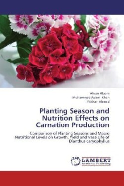 Planting Season and Nutrition Effects on Carnation Production