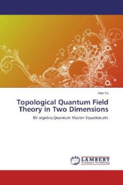 Topological Quantum Field Theory in Two Dimensions