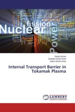 Internal Transport Barrier in Tokamak Plasma