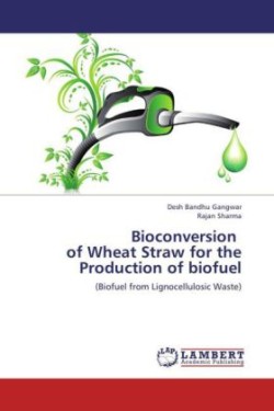 Bioconversion of Wheat Straw for the Production of Biofuel