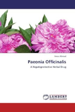 Paeonia Officinalis