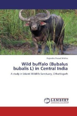 Wild Buffalo (Bubalus Bubalis L) in Central India