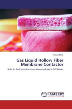 Gas Liquid Hollow Fiber Membrane Contactor