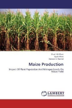 Maize Production