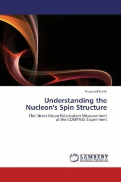 Understanding the Nucleon's Spin Structure