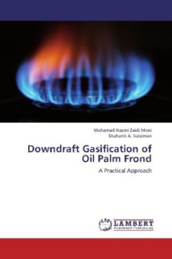 Downdraft Gasification of Oil Palm Frond