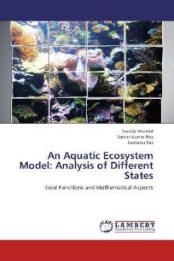 An Aquatic Ecosystem Model: Analysis of Different States