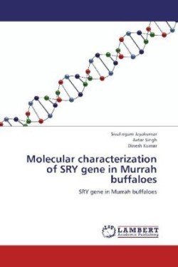 Molecular characterization of SRY gene in Murrah buffaloes