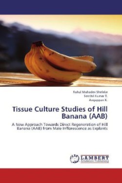 Tissue Culture Studies of Hill Banana (AAB)