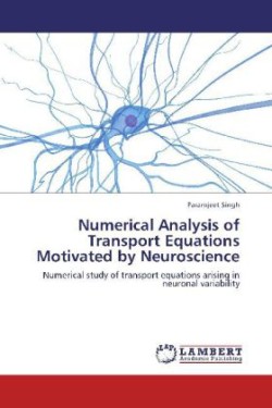 Numerical Analysis of Transport Equations Motivated by Neuroscience