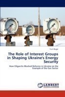 Role of Interest Groups in Shaping Ukraine's Energy Security