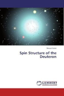 Spin Structure of the Deuteron