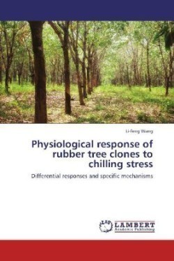 Physiological Response of Rubber Tree Clones to Chilling Stress