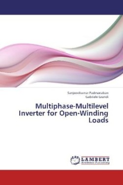 Multiphase-Multilevel Inverter for Open-Winding Loads