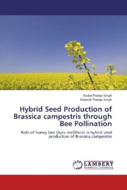 Hybrid Seed Production of Brassica campestris through Bee Pollination