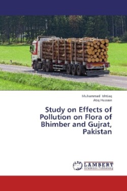 Study on Effects of Pollution on Flora of Bhimber and Gujrat, Pakistan