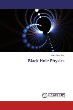 Black Hole Physics