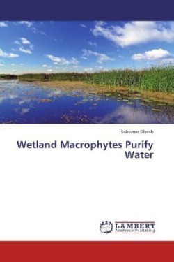 Wetland Macrophytes Purify Water