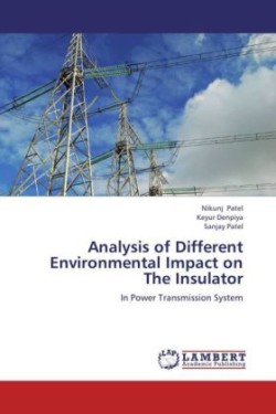 Analysis of Different Environmental Impact on the Insulator