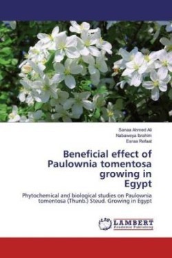 Beneficial effect of Paulownia tomentosa growing in Egypt