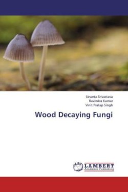 Wood Decaying Fungi