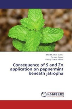 Consequence of S and Zn Application on Peppermint Beneath Jatropha