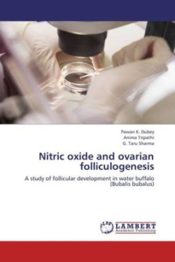 Nitric Oxide and Ovarian Folliculogenesis