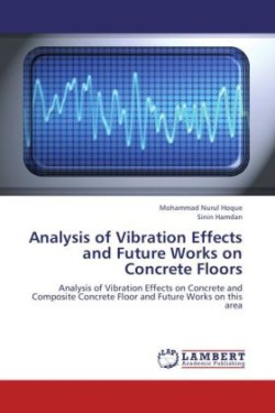 Analysis of Vibration Effects and Future Works on Concrete Floors