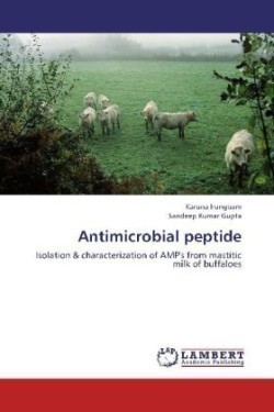 Antimicrobial peptide