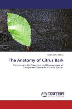 Anatomy of Citrus Bark