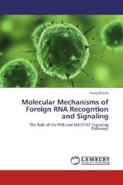 Molecular Mechanisms of Foreign RNA Recogntion and Signaling