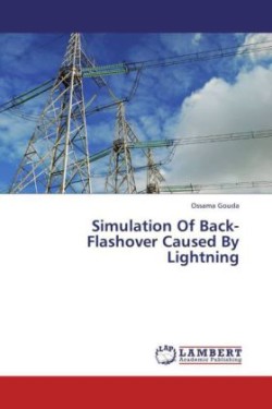 Simulation of Back-Flashover Caused by Lightning