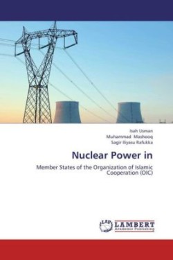 Nuclear Power in