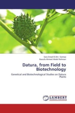 Datura, from Field to Biotechnology