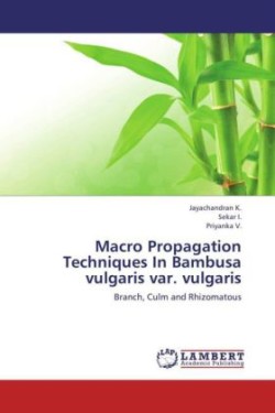 Macro Propagation Techniques in Bambusa Vulgaris Var. Vulgaris