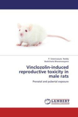 Vinclozolin-induced reproductive toxicity in male rats