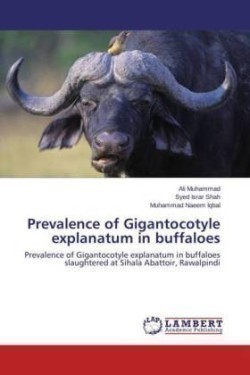 Prevalence of Gigantocotyle explanatum in buffaloes