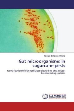 Gut microorganisms in sugarcane pests