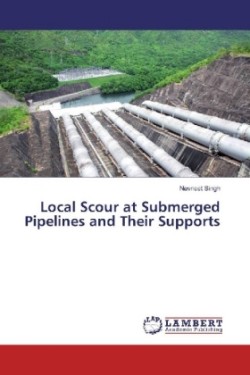 Local Scour at Submerged Pipelines and Their Supports