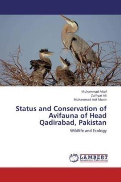 Status and Conservation of Avifauna of Head Qadirabad, Pakistan