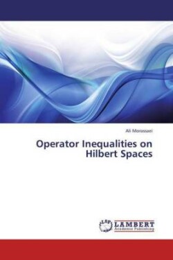 Operator Inequalities on Hilbert Spaces