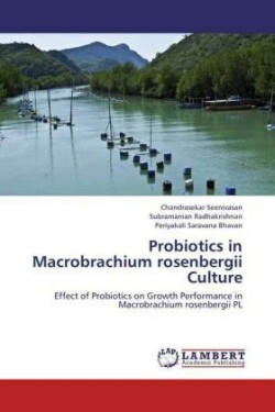 Probiotics in Macrobrachium Rosenbergii Culture