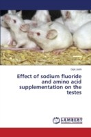 Effect of sodium fluoride and amino acid supplementation on the testes