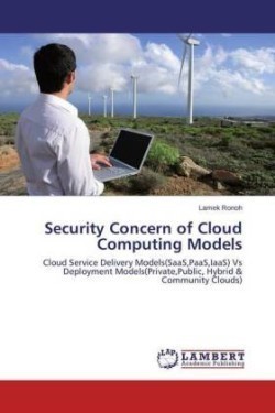 Security Concern of Cloud Computing Models