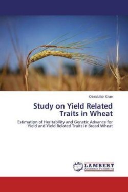Study on Yield Related Traits in Wheat