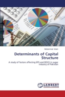 Determinants of Capital Structure