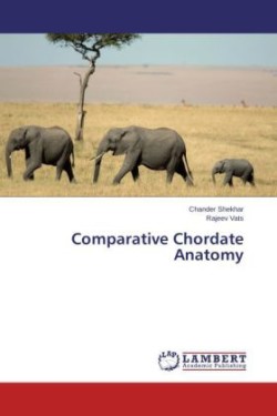 Comparative Chordate Anatomy